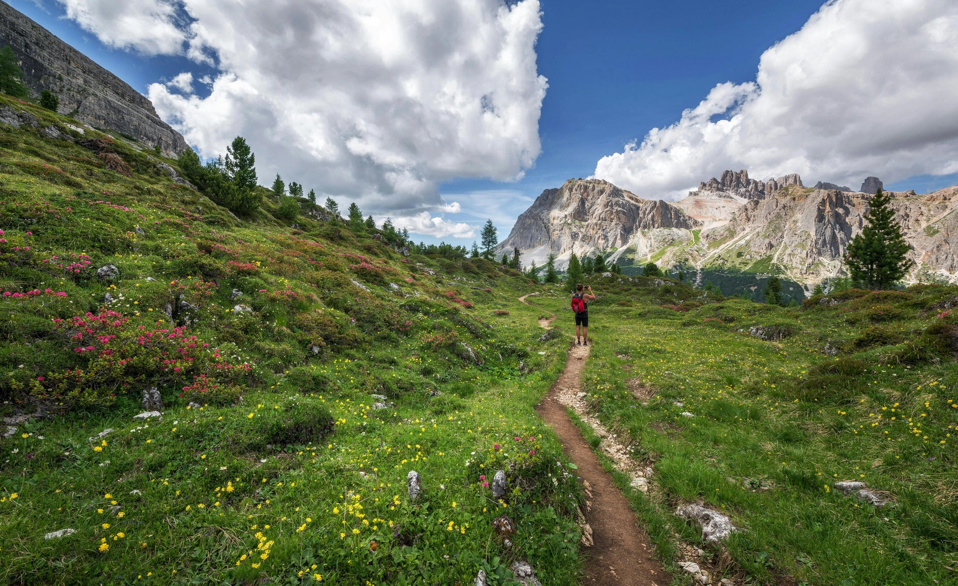 Hiker on a trail in a mountainous landscape with greenery and flowers.