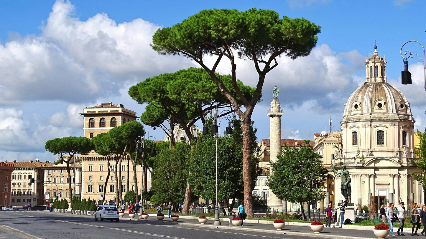 City street with trees, buildings, and people in a scenic urban setting