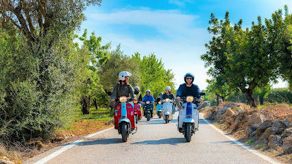 Group of people riding scooters on a scenic road with trees and clear sky.