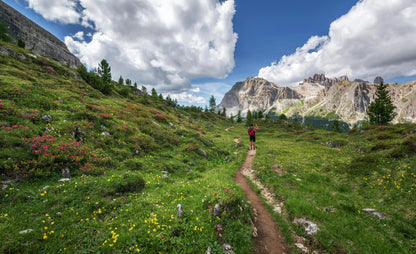 Hiker on a trail in a mountainous landscape with greenery and flowers.