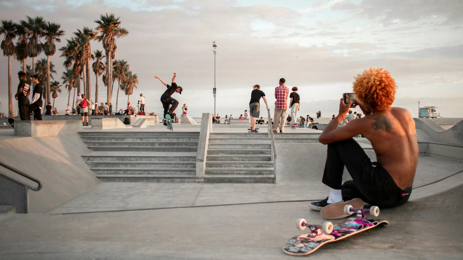 Skateboarders at a skate park with palm trees and a clear sky.