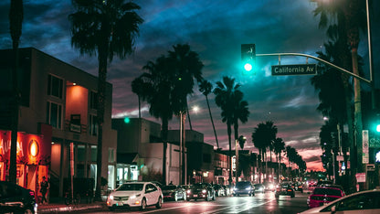 City street at night with palm trees, traffic lights, and buildings.