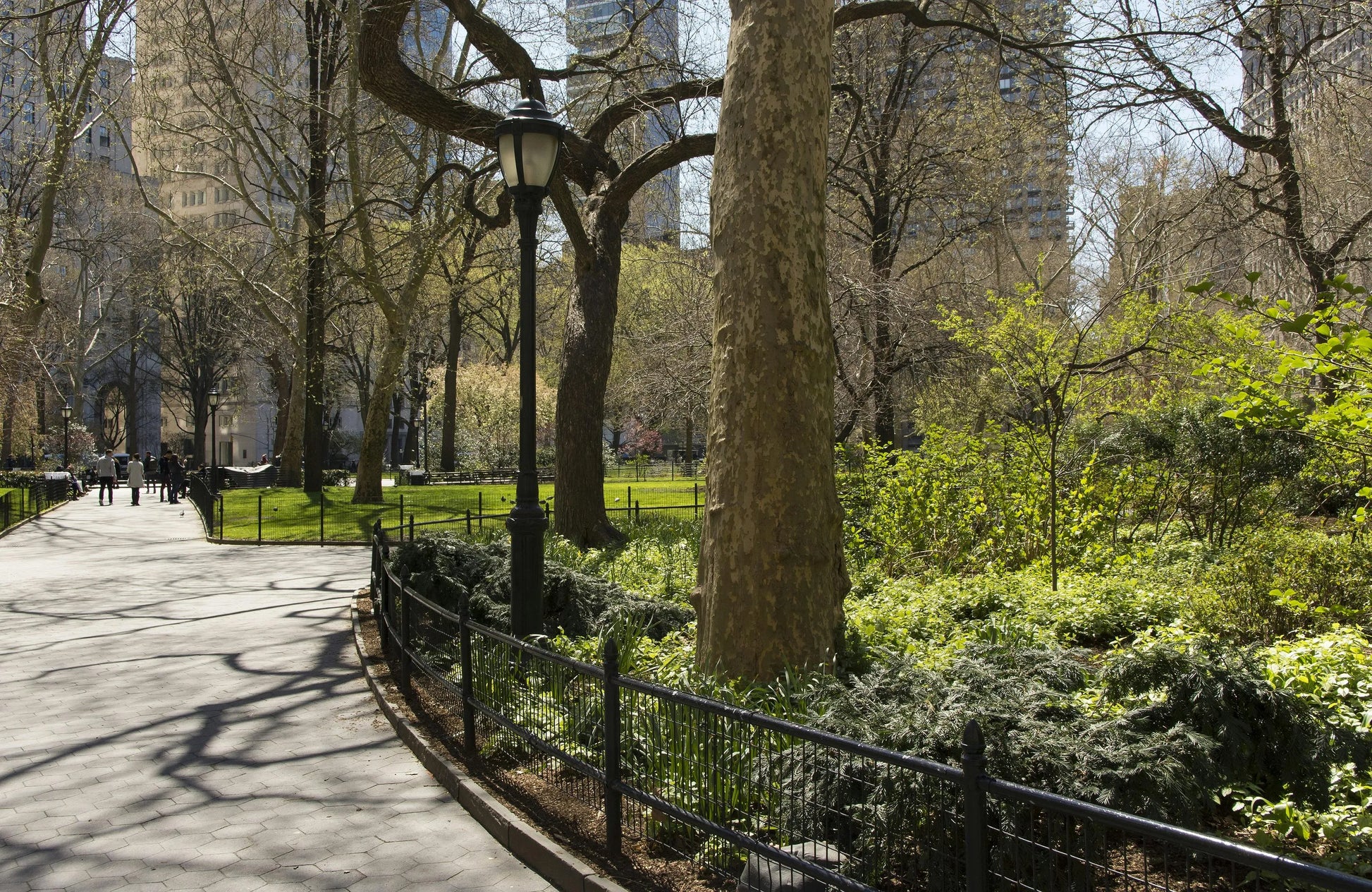 Central Park 